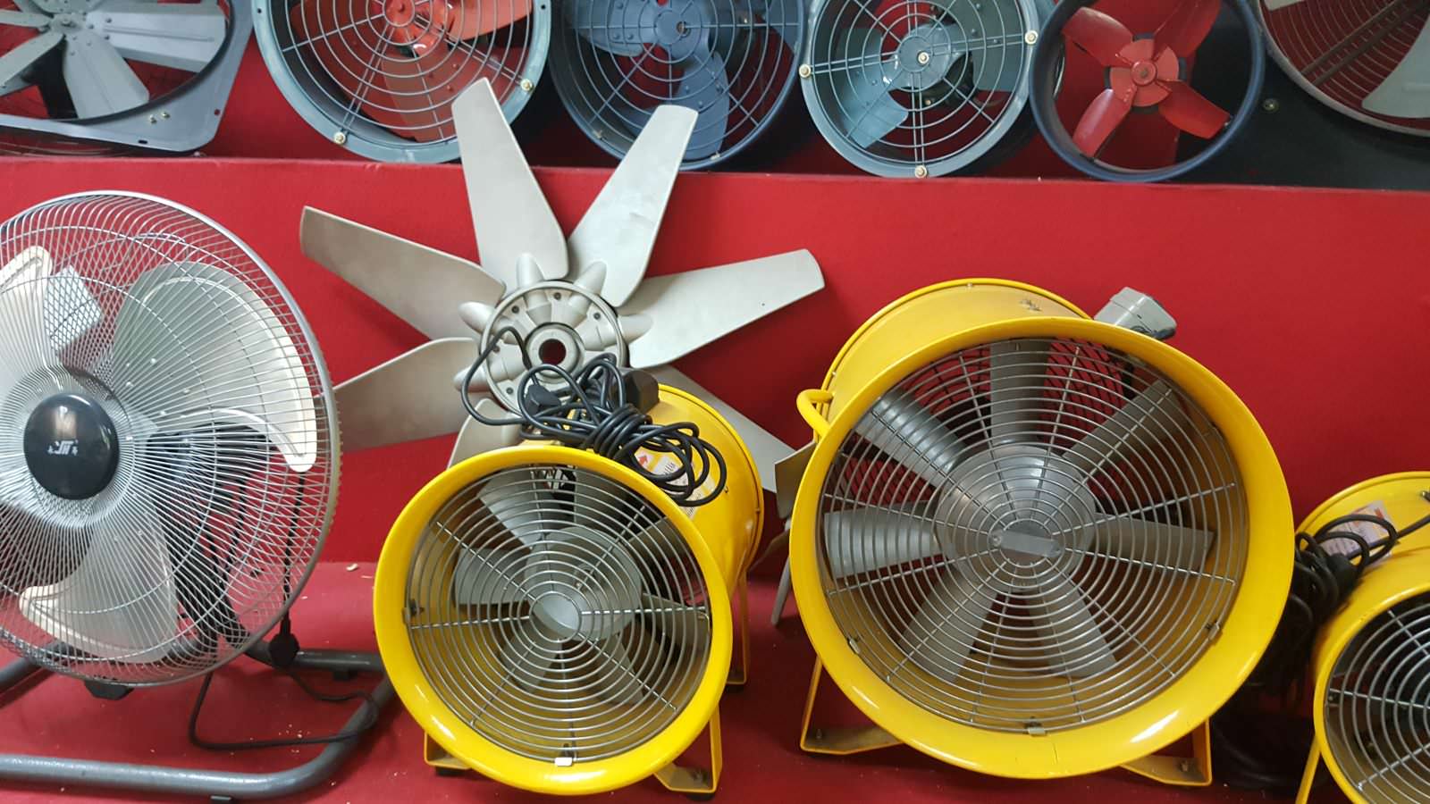 Kiểm Tra Hàng Tại Nhà Máy Trước Khi Đóng Hàng