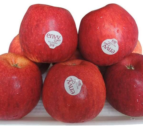 Tìm nguồn hàng trái cây nhập khẩu táo Envy