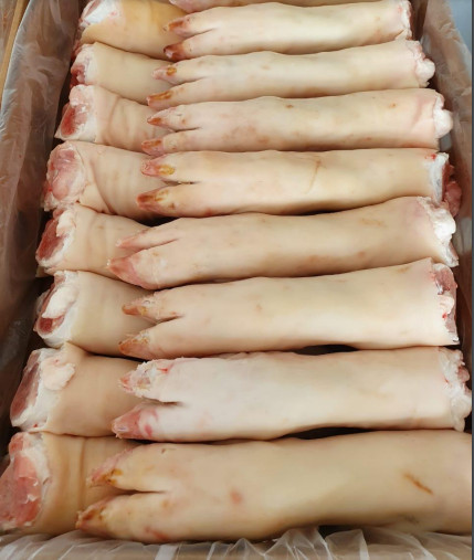 Frozen Pork Front Feet