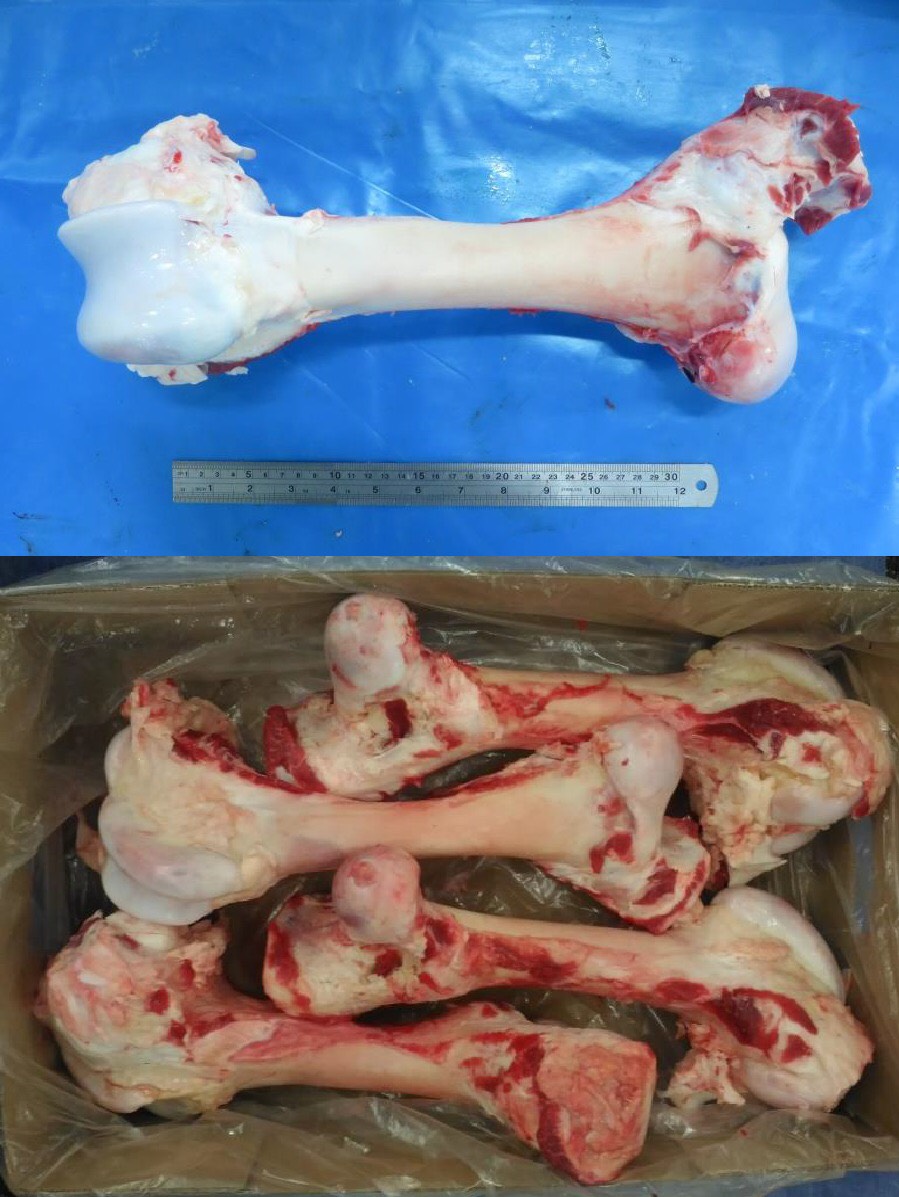 Frozen Beef Bones