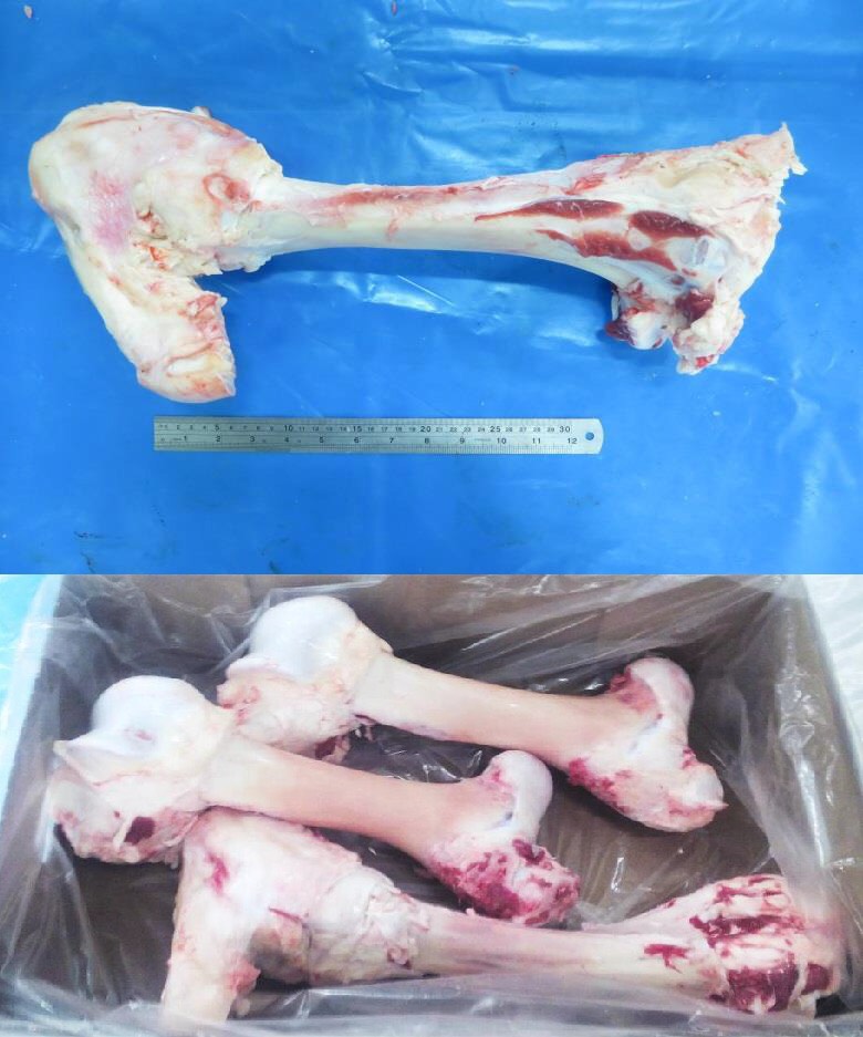 Frozen Beef Bones