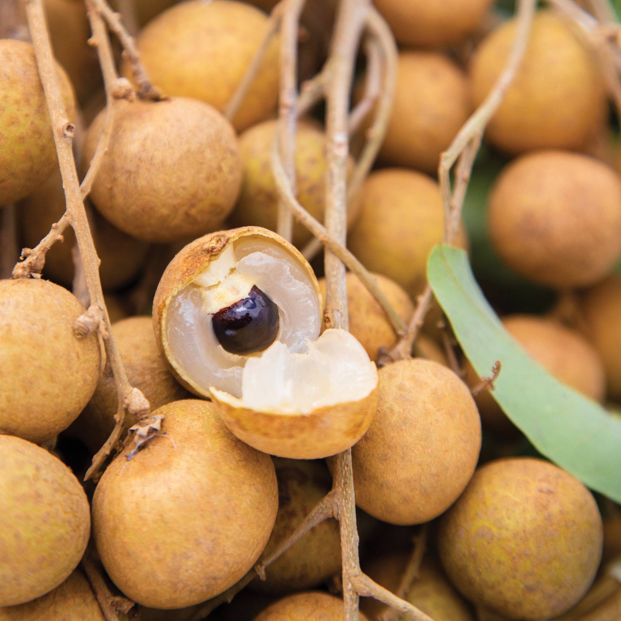 HINH NHAN 640x640px18_web