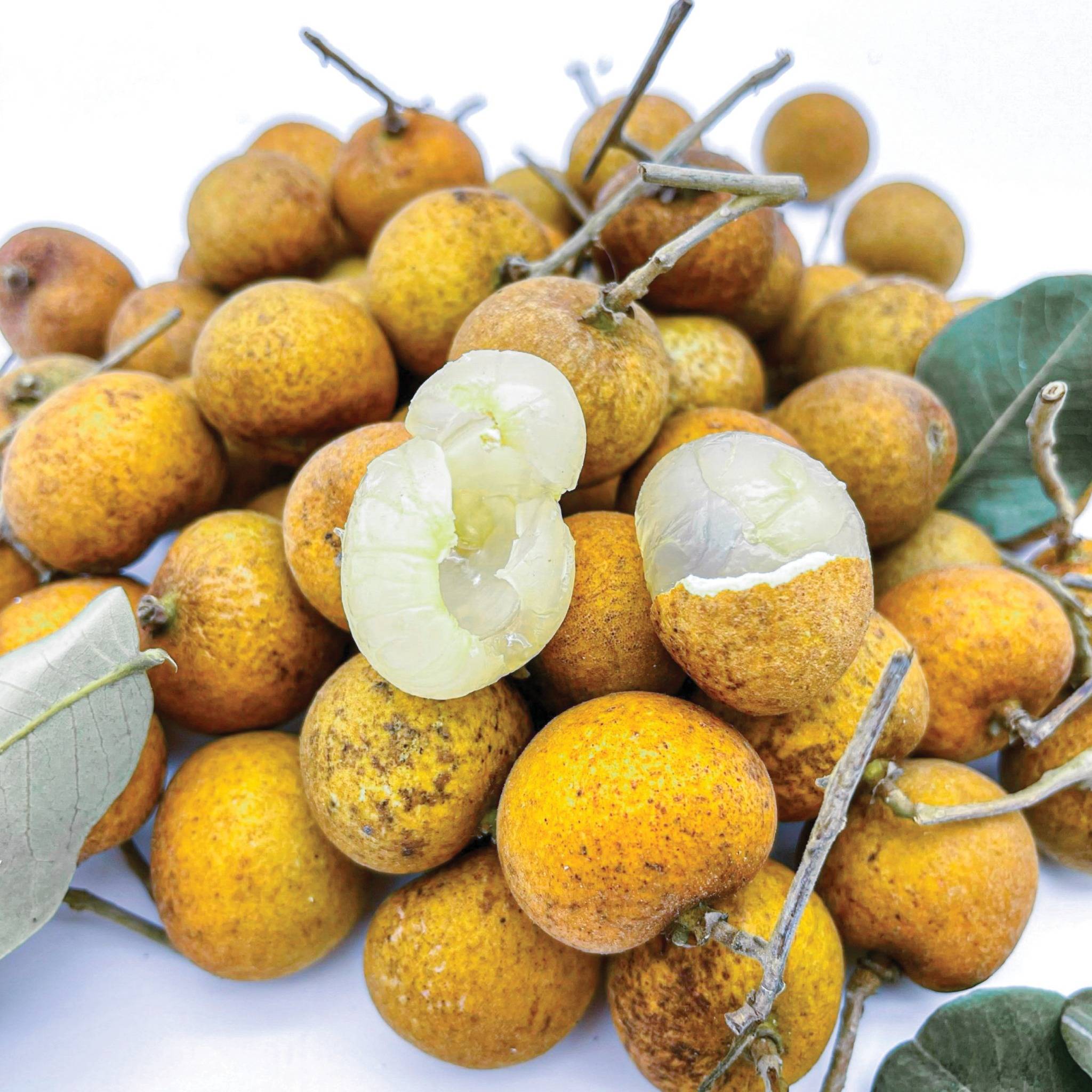 HINH NHAN 640x640px30_web