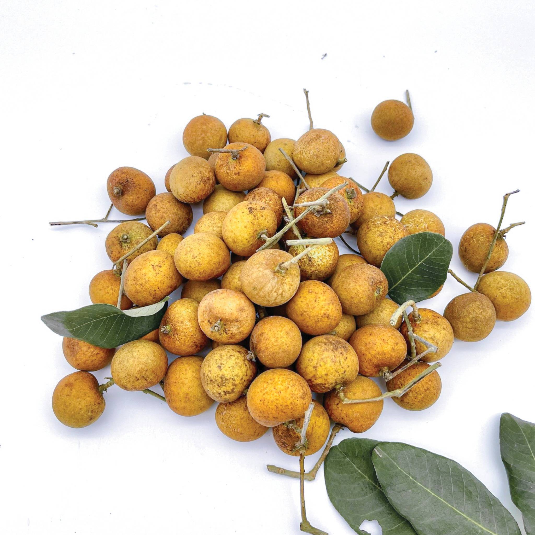 HINH NHAN 640x640px8_web